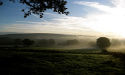 misty morning